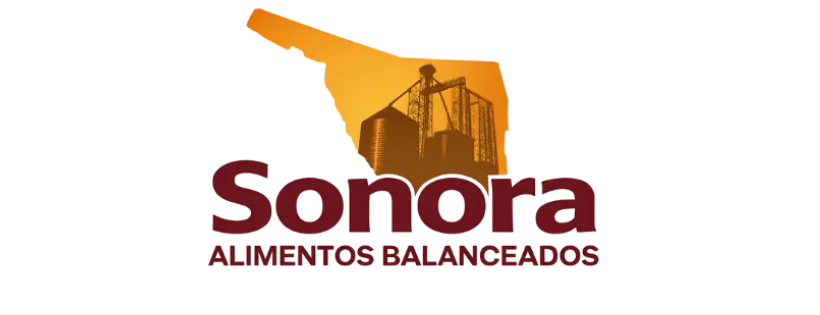 Cámaras de seguridad para Alimentos Balanceados en Sonora por Alarmas Pitic
